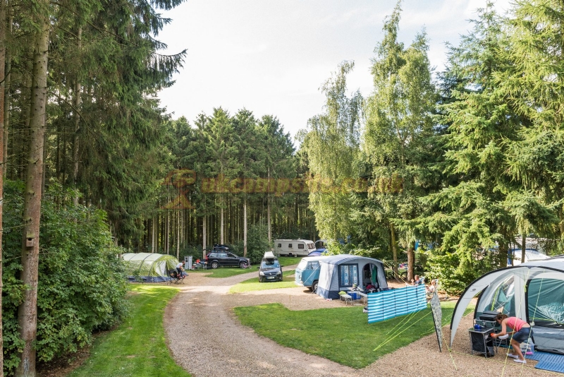 Clippesby Hall Camping And Touring