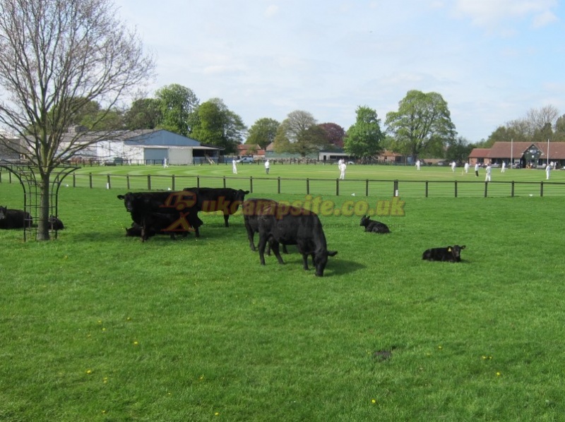 Alders Caravan Park