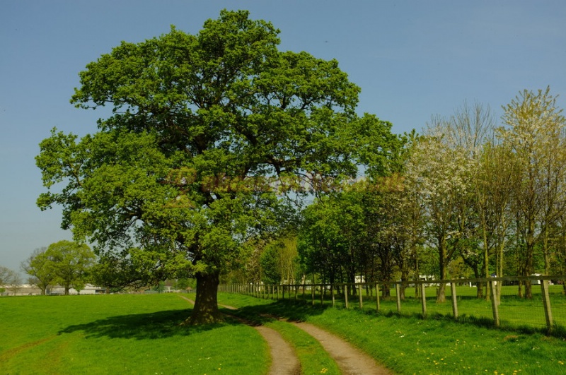 Alders Caravan Park