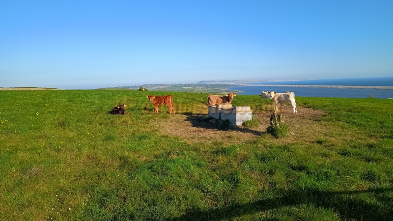 Sea Barn Farm Camping Park