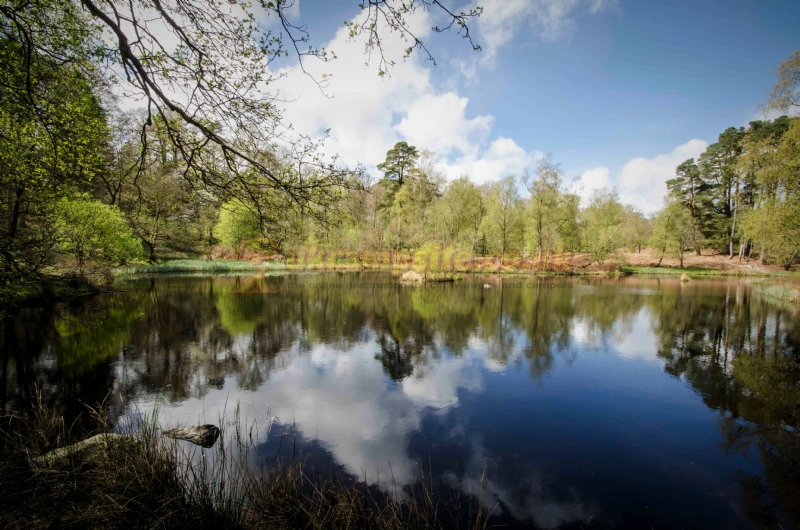 Skelwith Fold Caravan Park