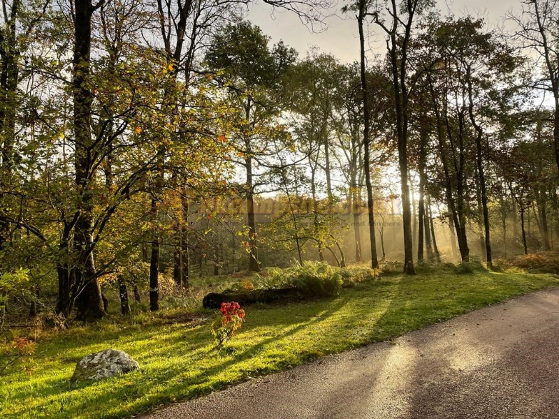 Skelwith Fold Caravan Park