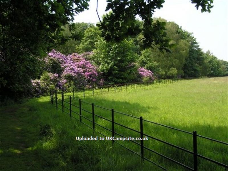Carlton Park Camping And Caravan Site