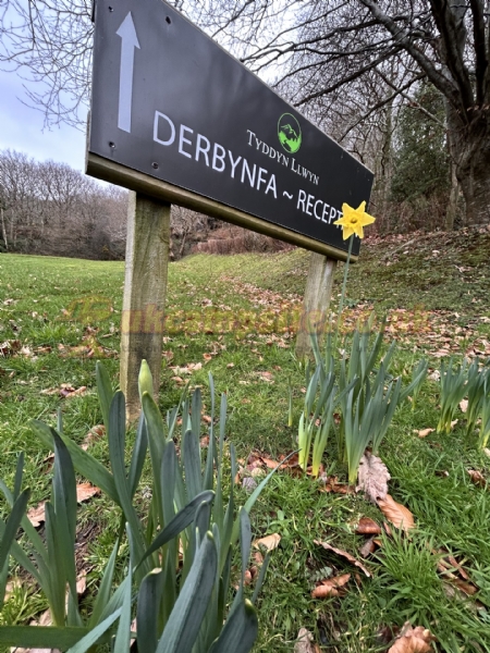 Tyddyn Llwyn Caravan Park And Campsite
