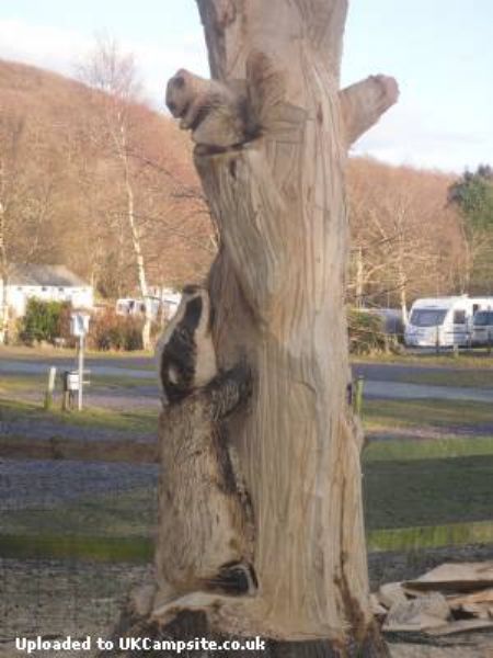 Tyddyn Llwyn Caravan Park And Campsite