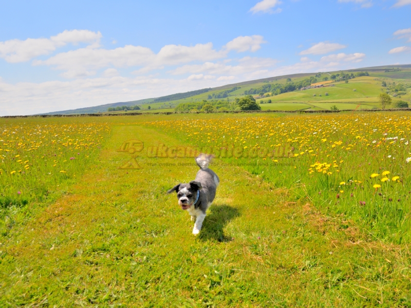 Longnor Wood Holiday Park