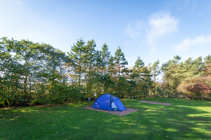 Longnor Wood Holiday Park