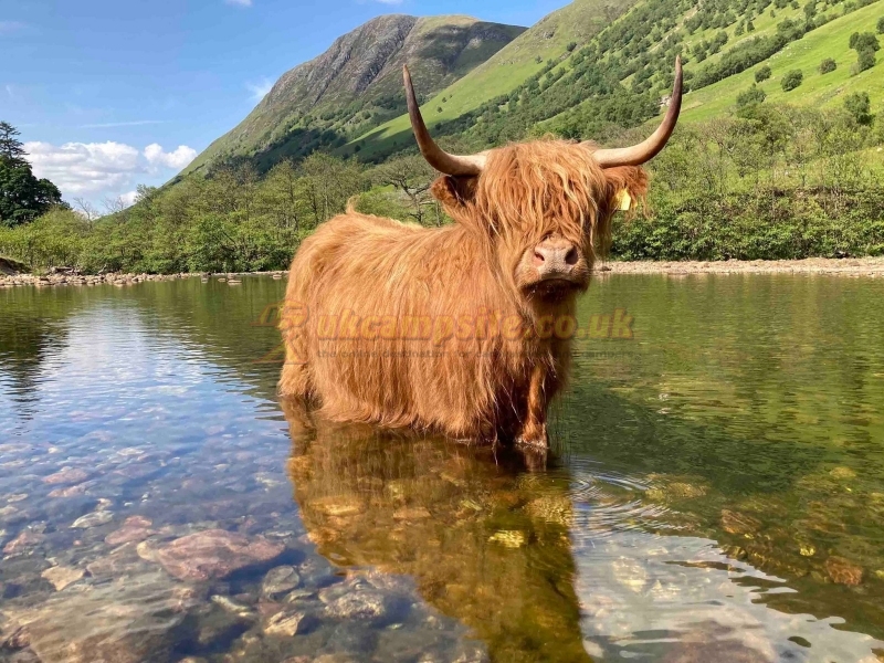 Glen Nevis Caravan And Camping Park