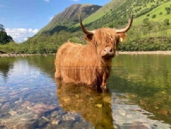 Glen Nevis Caravan And Camping Park