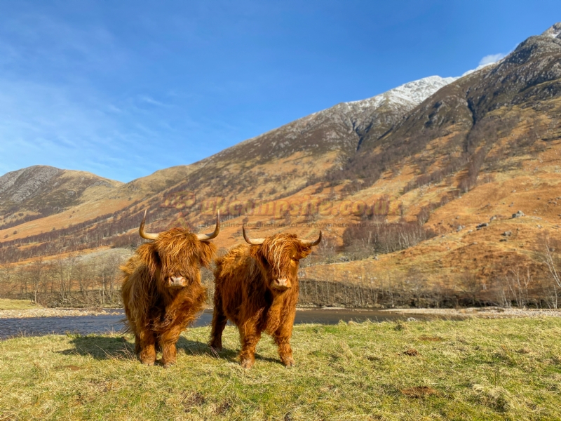 Glen Nevis Caravan And Camping Park