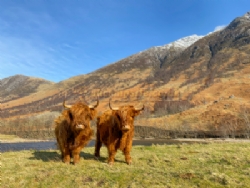 Glen Nevis Caravan And Camping Park