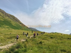 Glen Nevis Caravan And Camping Park