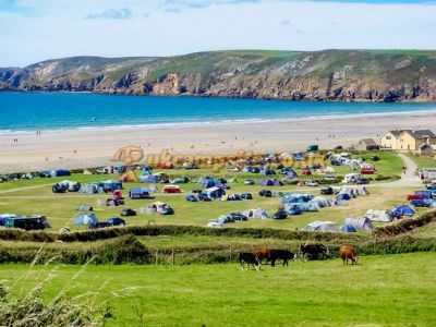 Newgale Campsite