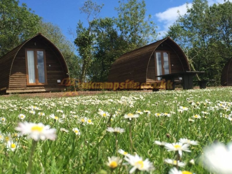 Belhaven Bay Caravan And Camping Park