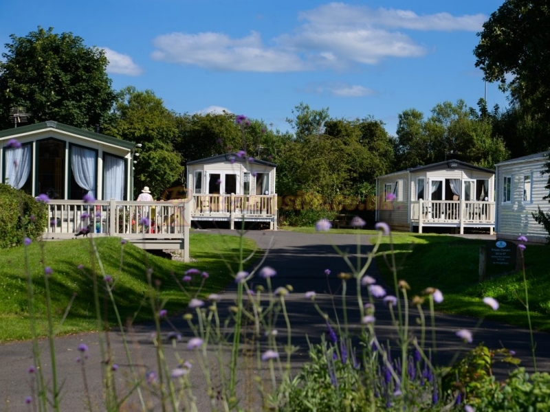 Belhaven Bay Caravan And Camping Park