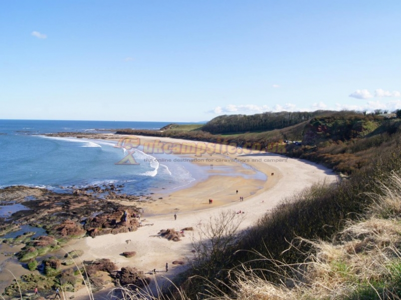 Tantallon Caravan and Camping Park