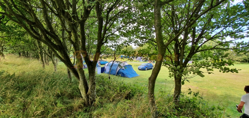 Waren Caravan and Camping Park