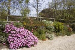 La Bailloterie Camping