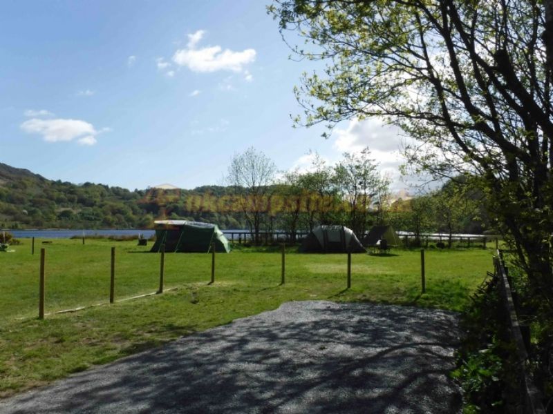 Llyn Gwynant Campsite