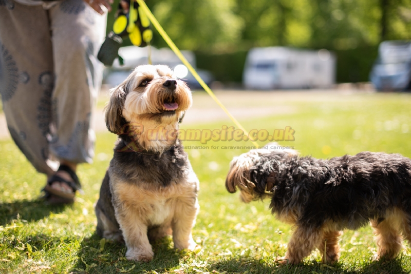 Blair Castle Caravan Park