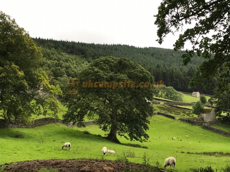 Howgill Lodge Caravan And Camping Park