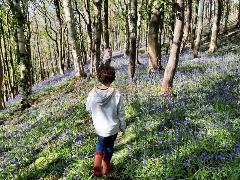 Howgill Lodge Caravan And Camping Park
