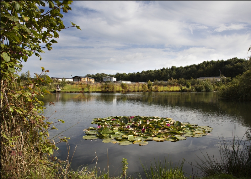 Riverside Caravan Park