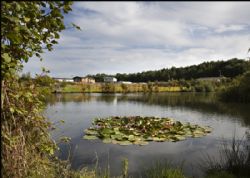 Riverside Caravan Park