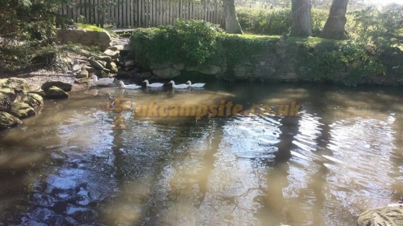 Hunters Hamlet Touring Caravan Park