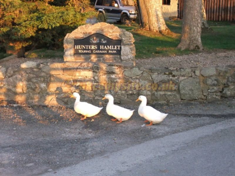 Hunters Hamlet Touring Caravan Park