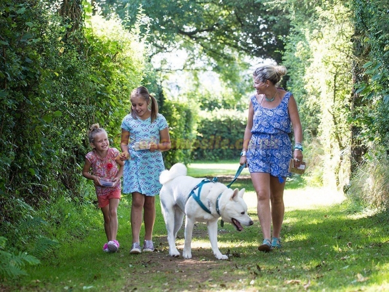 Little Kings Holiday Park