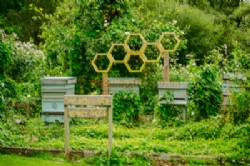 Lincomb Lock Caravan Park