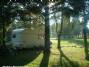 Cannich Woodland Camping