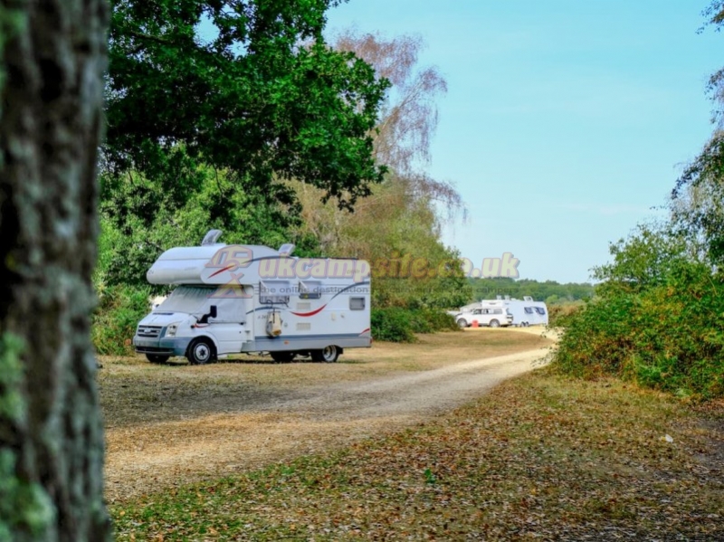 Aldridge Hill Camping In The New Forest