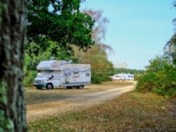 Aldridge Hill Camping In The New Forest