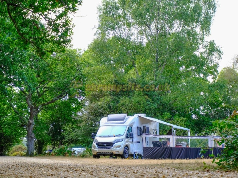 Aldridge Hill Camping In The New Forest