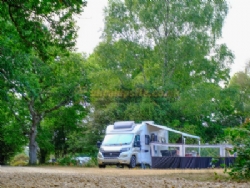 Aldridge Hill Camping In The New Forest