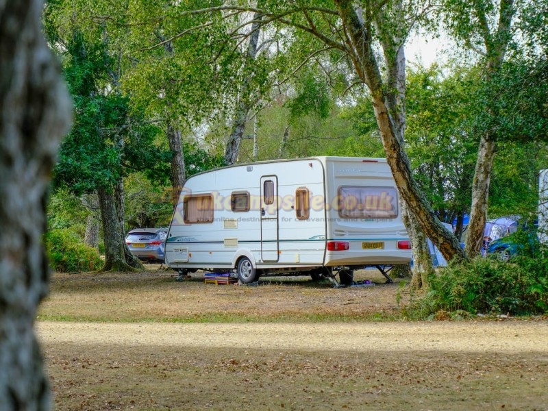 Aldridge Hill Camping In The New Forest