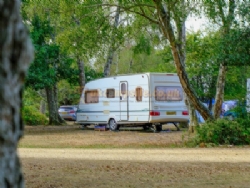 Aldridge Hill Camping In The New Forest