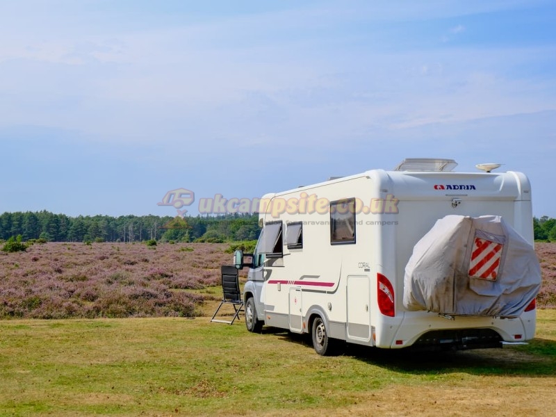 Aldridge Hill Camping In The New Forest