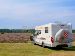Aldridge Hill Camping In The New Forest
