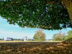 Aldridge Hill Camping In The New Forest