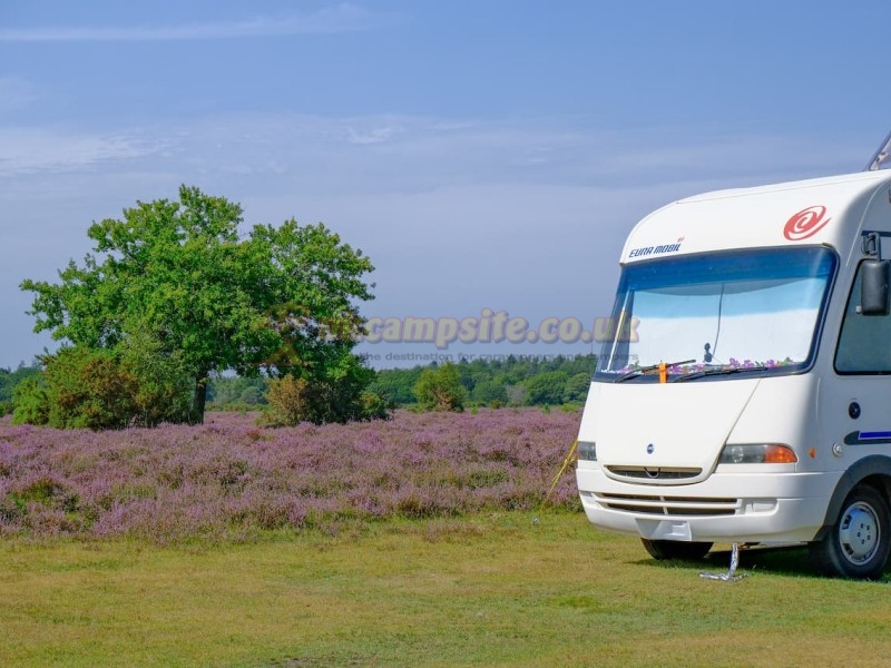 Aldridge Hill Camping In The New Forest