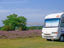 Aldridge Hill Camping In The New Forest