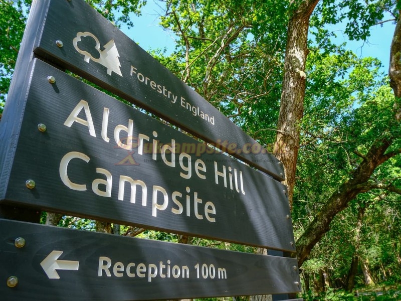 Aldridge Hill Camping In The New Forest