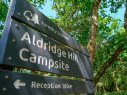 Aldridge Hill Camping In The New Forest