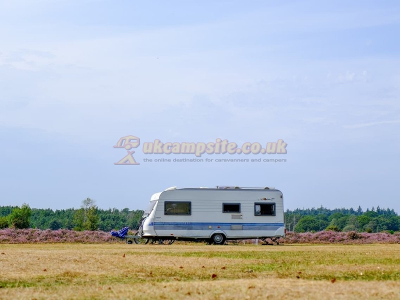 Aldridge Hill Camping In The New Forest