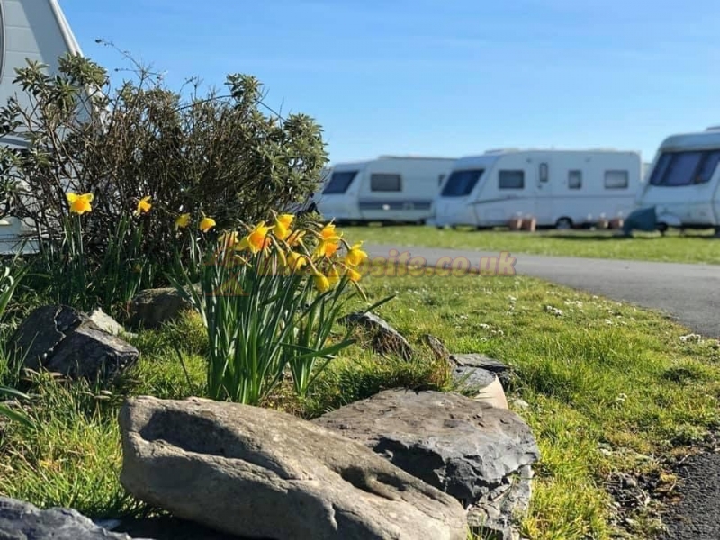 Cambrian Coast Holiday Park