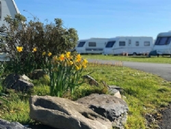 Cambrian Coast Holiday Park