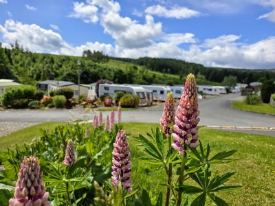 Corriefodly Holiday Park Corriefodly Holiday Park
